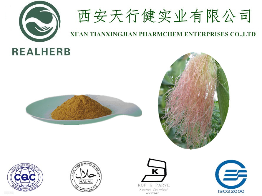 Corn Silk Extract from China manufacturer - TIANXINGJIAN PHARMCHEM